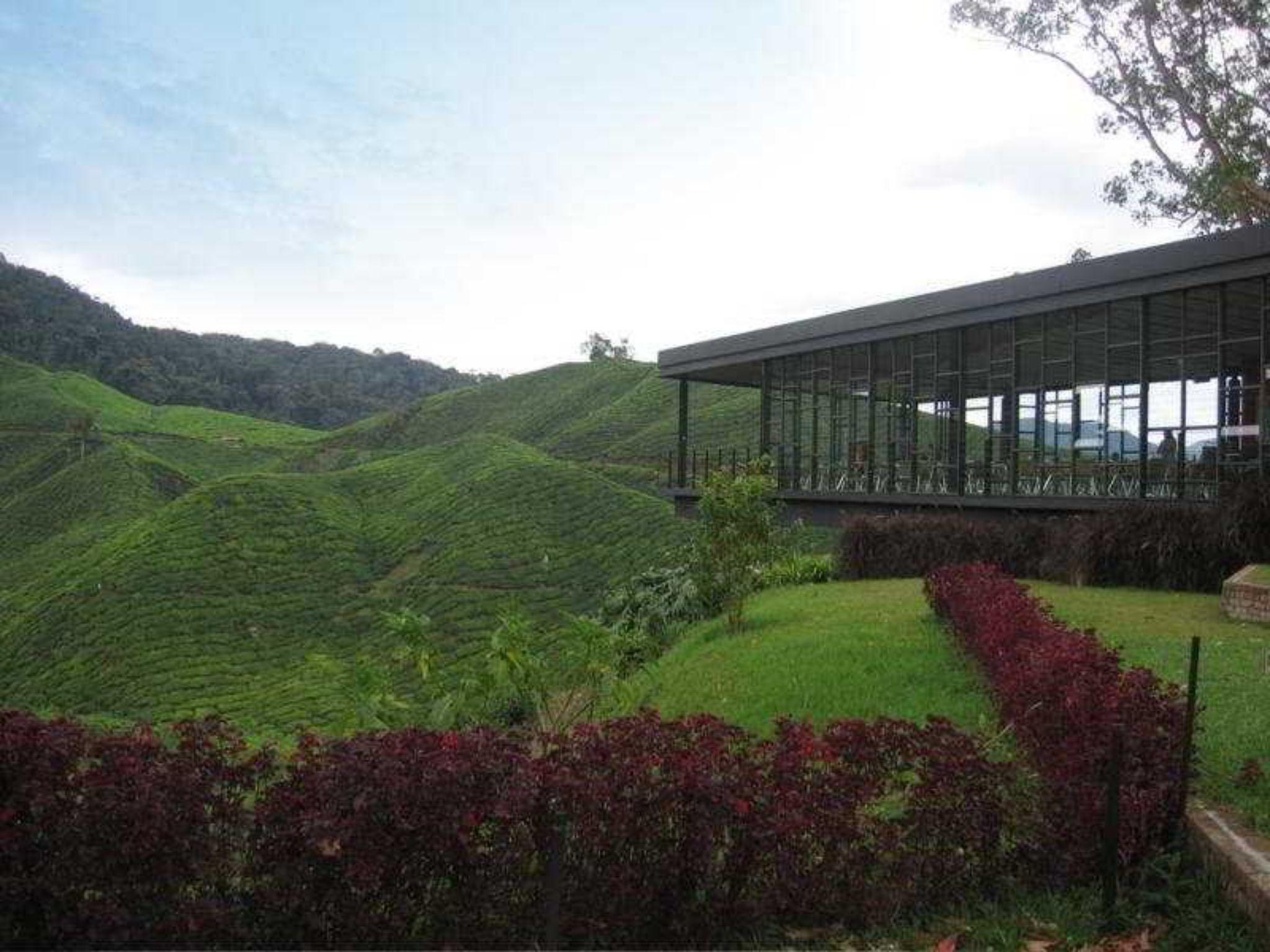 Century Pines Resort Cameron Highlands Dış mekan fotoğraf